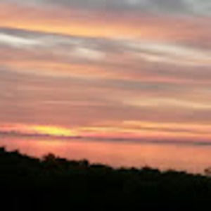 Meet your Posher, Nora